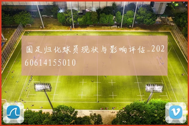 国足归化球员现状与影响评估_20260614155010